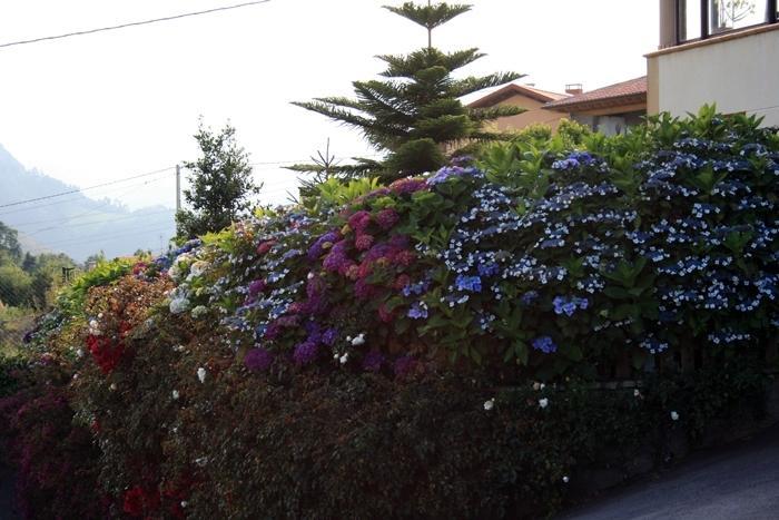 Hotel Foronda Pando  Exterior photo